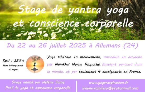 20251103 - Publi stage été Allemans 2026 20251103 - Publi stage été Allemans 2026